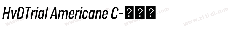 HvDTrial Americane C字体转换